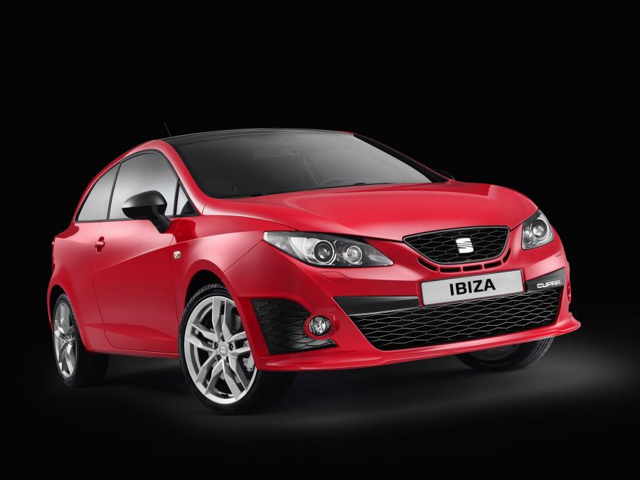  Seat Ibiza Cupra 2008 года  (фото 31 из 36)